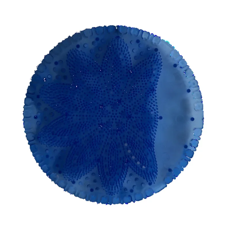 Dufteinlage «einfach himmlisch», blau
